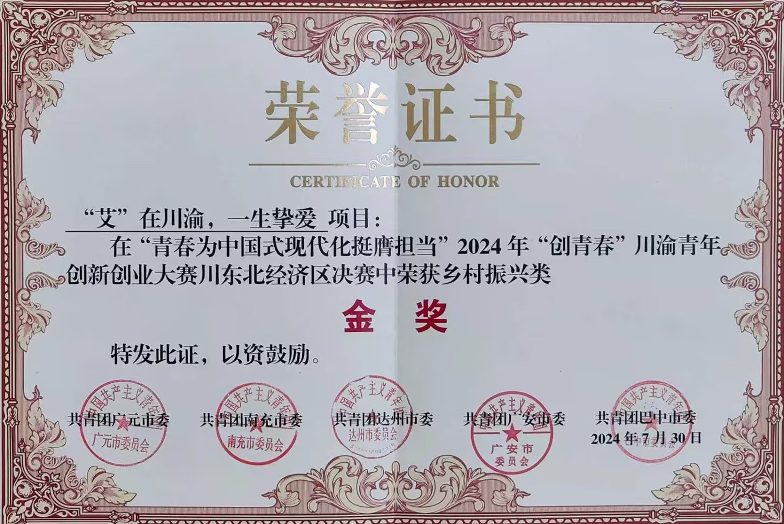 川渝青年创新创业大赛金奖